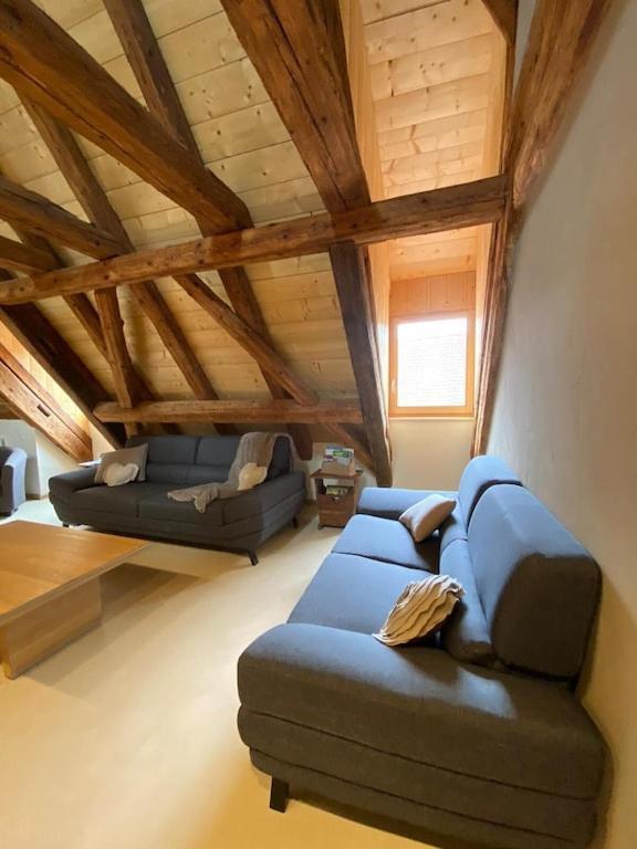 Maison De Charme En Alsace - In Vino Veritas - 12 Personnes Гебершвир Экстерьер фото